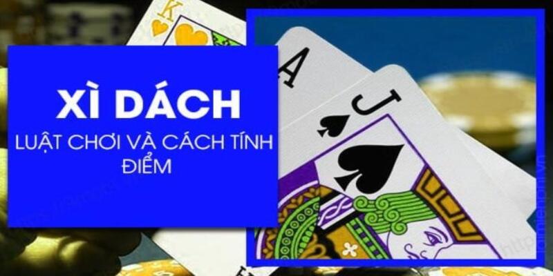 Cách chơi Xì Dzách là một trong những điều cơ bản mà mọi người cần nắm rõ. Từ đây, các bạn mới có thể tham gia một cách dễ dàng và không phạm luật khi chơi.